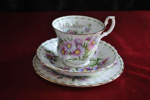 Royal Albert Flower Of The Month September "Michaelmas Daisy" Trio