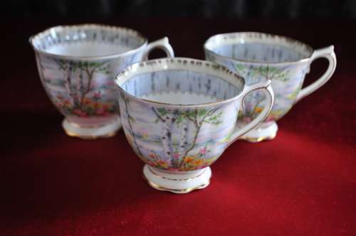 Royal Albert "Silver Birch" 21 Piece Tea Set  --  Collection or Courier Please!