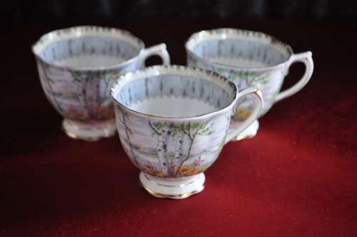 Royal Albert "Silver Birch" 21 Piece Tea Set  --  Collection or Courier Please!