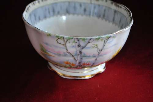 Royal Albert "Silver Birch" 21 Piece Tea Set  --  Collection or Courier Please!