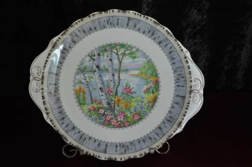 Royal Albert "Silver Birch" 21 Piece Tea Set  --  Collection or Courier Please!