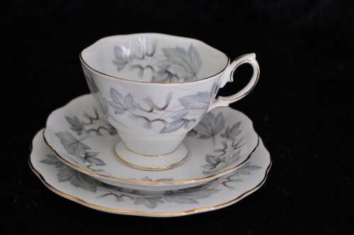 Royal Albert "Silver Maple" Trio