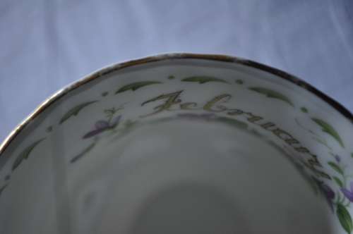 Royal Albert Flower Of The Month February "Violets" Duo