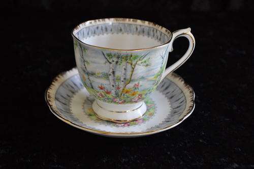 Royal Albert "Silver Birch" Tea Duo