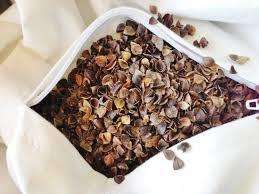 Buckwheat Pillow