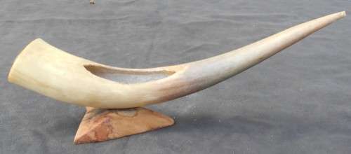 Large Mounted Animal Horn Ornament