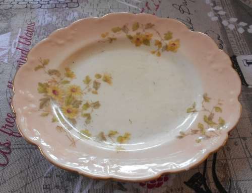 C.B L Berne Side Plate