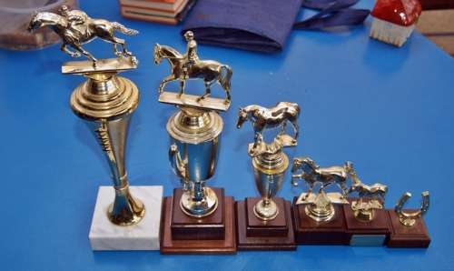 6x Horse Trophies
