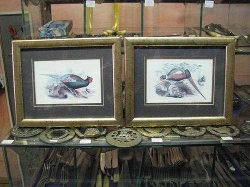 &@$ PAIR OF PICTURES OF BIRDS &@$