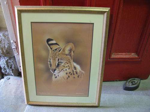 A PRINT OF A SERVAL BY CRAIG BARBER