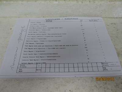 SAR INDEX & DIAGRAMS 955 COPIES (Reduced to clear) - LOT 365K