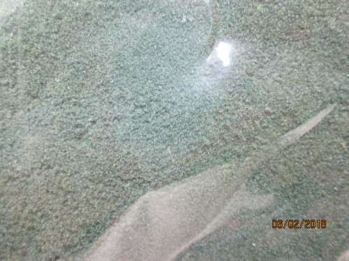 HO SCALE : HORNBY GREEN TUFTS (FOREST GREEN FINE) (Reduced to clear) - LOT 294R