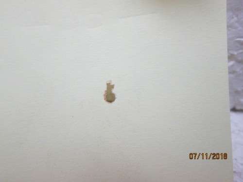 SAR TICKET PUNCH - LOT 856U