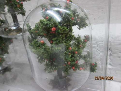 HO SCALE : WOODLAND SCENICS : x4 FRUIT TREES (BOXED) - LOT 198AA