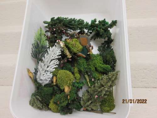 HO SCALE : TREES - 2 LITRE CONTAINER