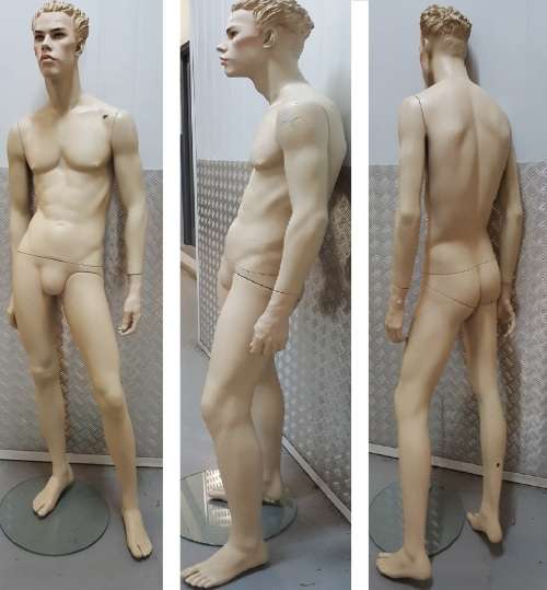 Young Adult Male Mannequin on Glass Stand