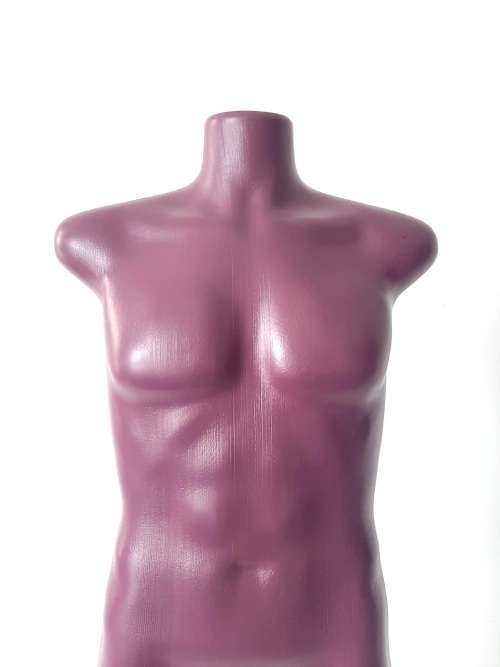 Male Display Figure Mannequin For Sale