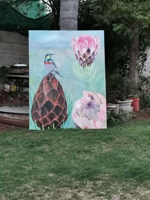 Cape Sugarbird with Proteas 1600 x 1220 x 60 deep