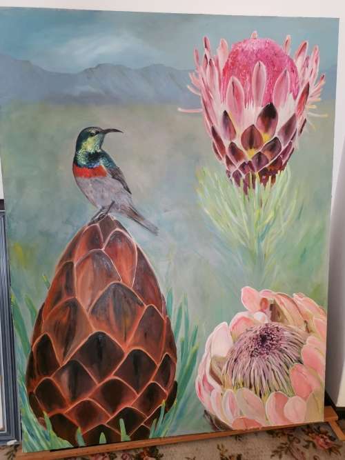 Cape Sugarbird with Proteas 1600 x 1220 x 60 deep