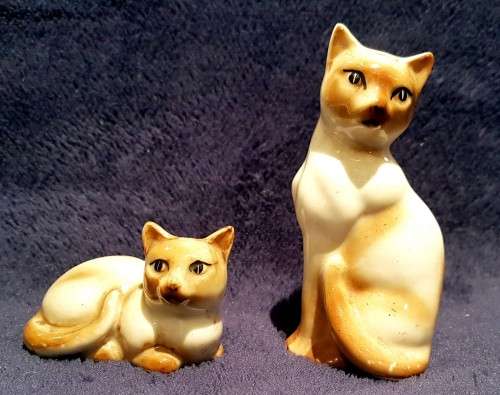 Cat's salt and pepper shaker set - A stunning set - Bid Now !!