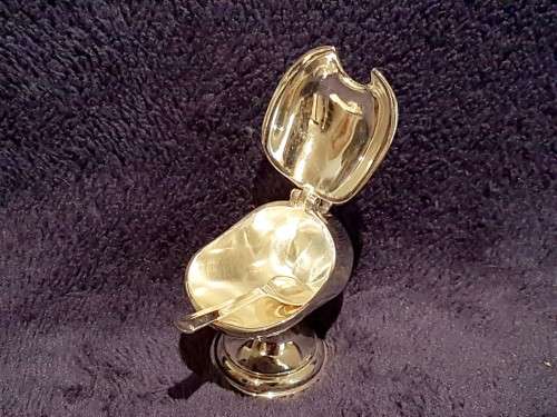 Silver plated salt container with spoon - A beautiful set at a low price, bid now!