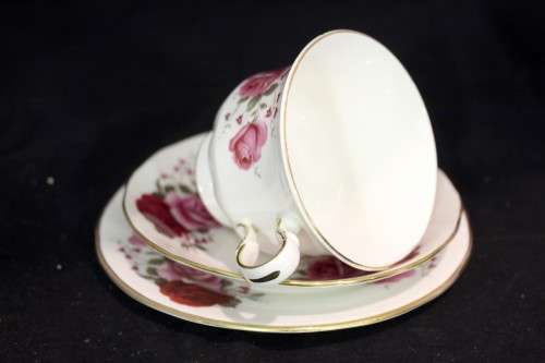 Queen Ann - Roses - Trio - Beautiful! - Low price!! - Bid Now!!