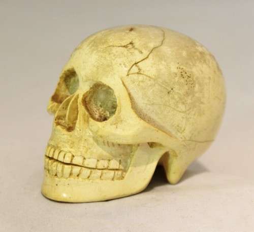 "Dolikosefa" - Small skull - Very detailed - Bid Now!!!