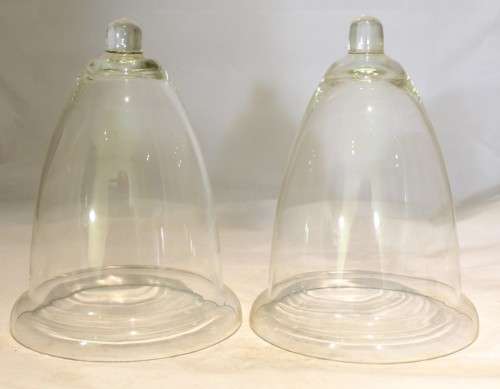 Glass domes - A beautiful pair!! - Bid Now!!!