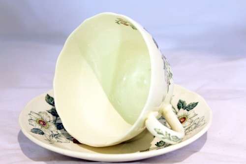 Copeland Spode - Sylvan - Duo - Stunning! - Bid Now!!!