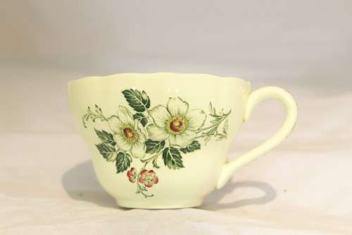 Copeland Spode - Sylvan - Duo - Stunning! - Bid Now!!!