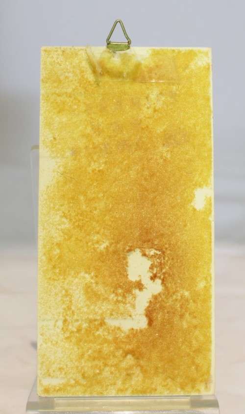 Fertility tile - Beautiful - Low Price - Bid Now!!