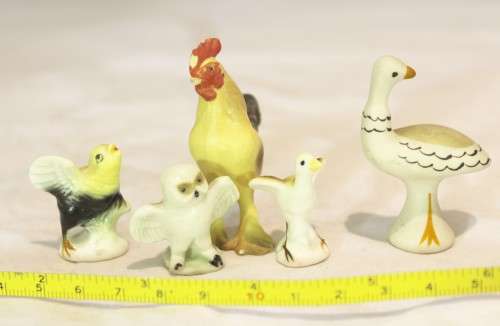 Five birds - Beautiful - Giveaway price!! - Bid Now!!