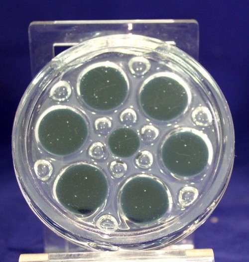 Glass paperweight with large black dots - Lovely! - Bid Now!!!