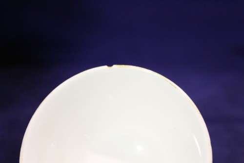 Chinese tea cup - Beautiful! - Bid Now!!!