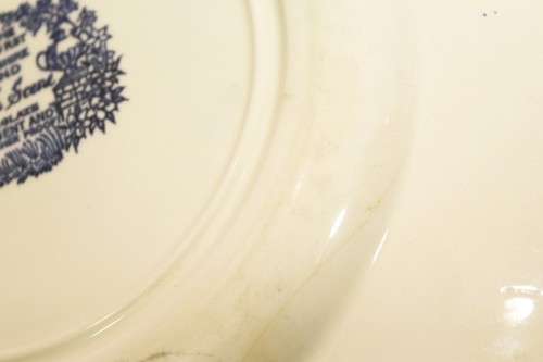 Broadhurst Ironstone - English scene - Blue and white display plate - Beautiful! - Bid Now!!!