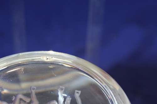 Glass paperweight - Horses - Beautiful! - Bid Now!!!