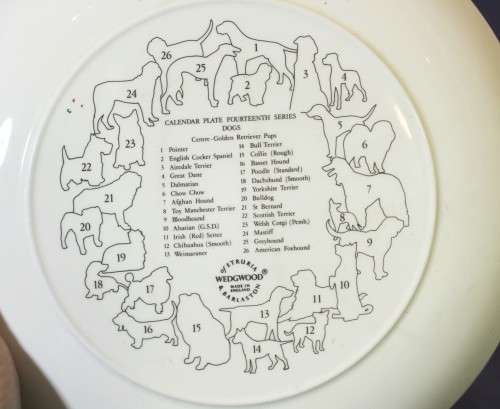 Wedgwood Calendar plate - Dogs - 1984 - Beautiful! - Bid Now!