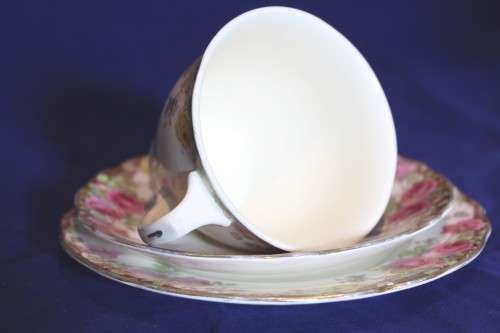 Royal Doulton - English Rose D6071 (Australia) - Trio - Beautiful!! - Low price! - Bid now!!