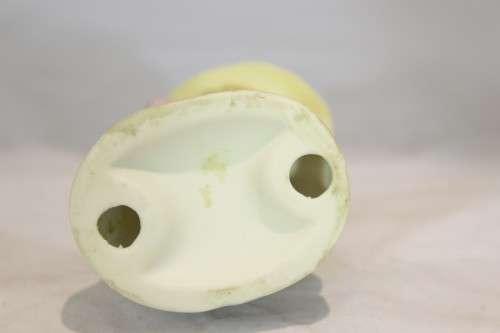 Boy with a dog and a duck