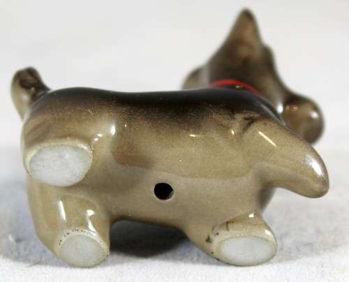 Scottish Terrier with Red Collar - Absolutely Adorable!! - Bid Now!