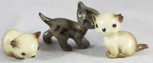 Three Kittens - Absolutely Adorable!! - Bid Now!