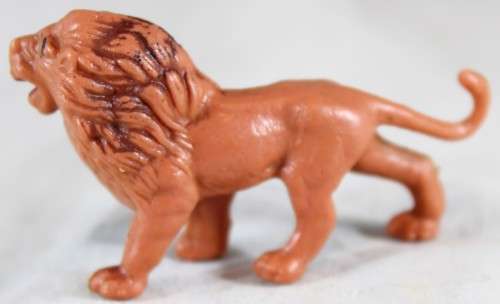 Lion - Absolutely Amazing!! - Bid Now!