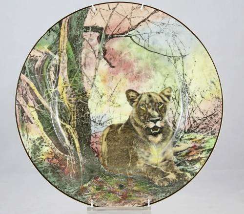 Royal Doulton African Series - Lioness Wall Plate - Absolutely Stunning! - Bid Now!
