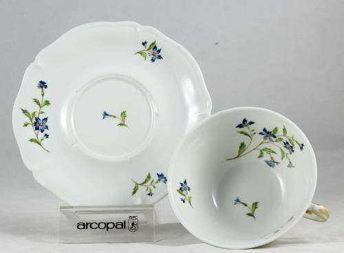 Limoges Duo - Blue Flower Motif - Bid Now!!!