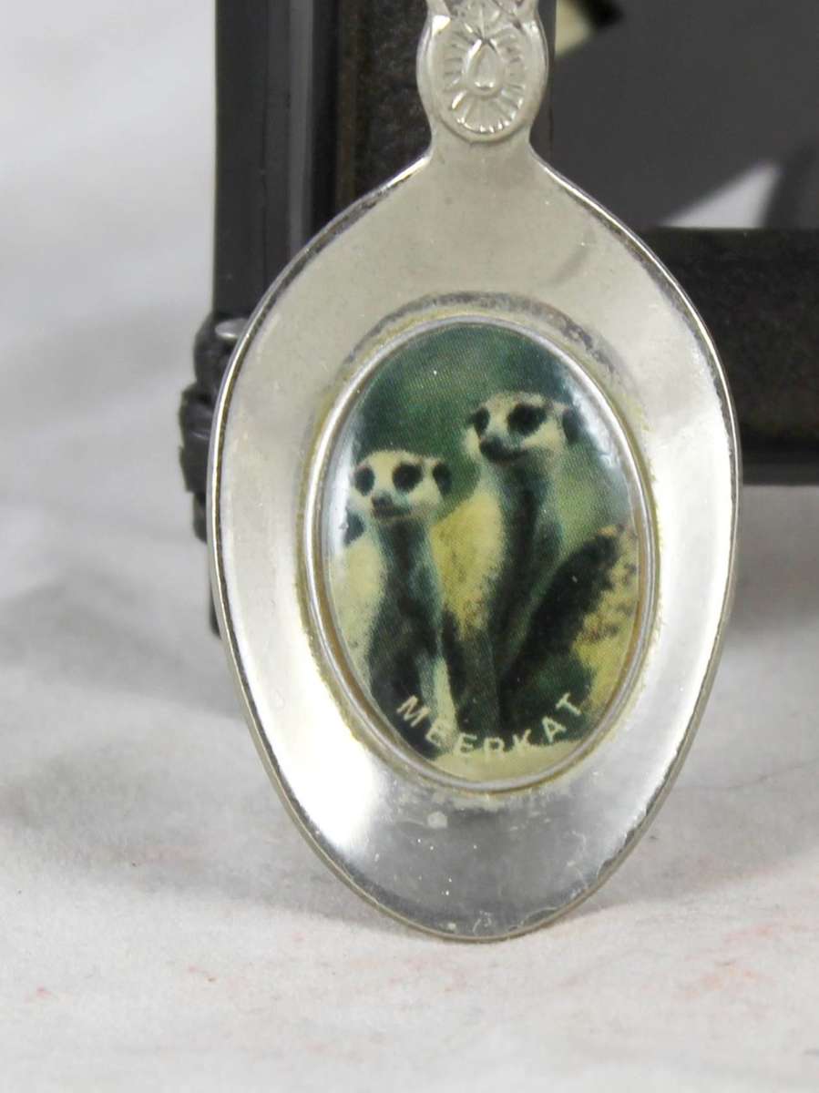 Souvenir Spoon - Lower Sabie - Beautiful! - Low Price!! - Bid Now!!!