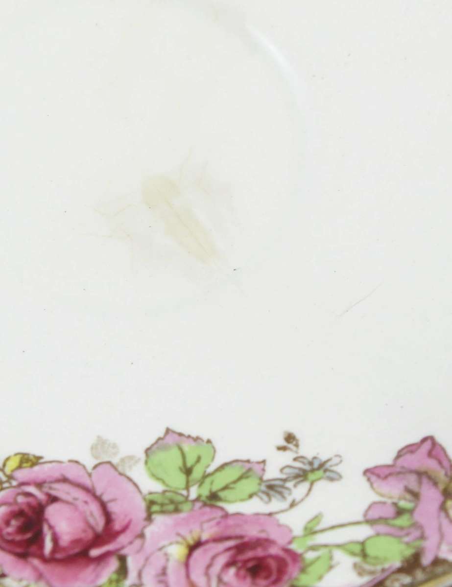 Royal Doulton - English Rose Demitasse Duo - Bid Now!!!