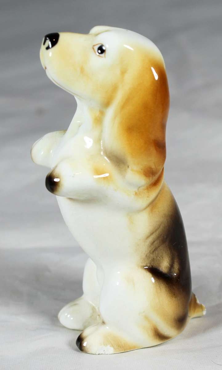 Begging puppy - Beautiful! - Bid Now!!!