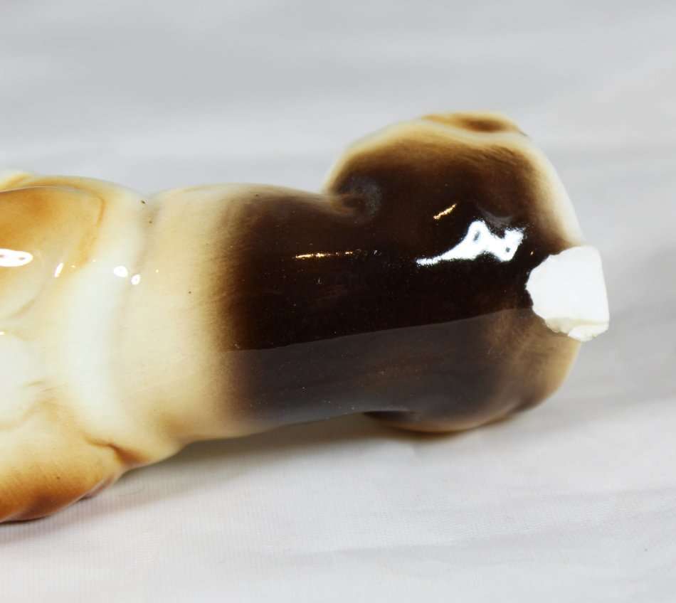 Begging puppy - Beautiful! - Bid Now!!!