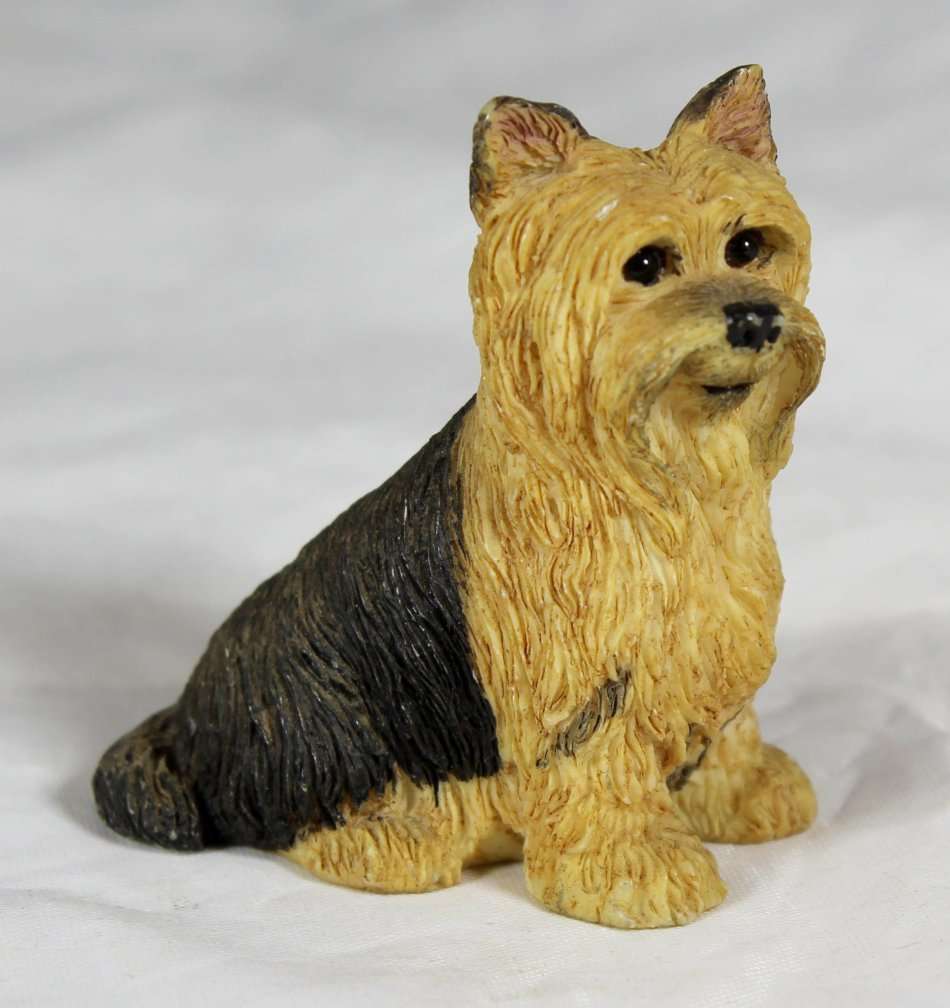 Seated Yorkie - Beautiful! - Bid Now!!!