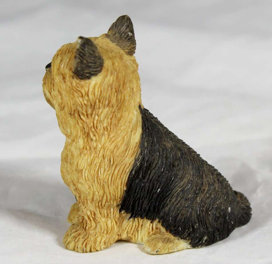 Seated Yorkie - Beautiful! - Bid Now!!!